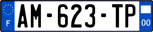 AM-623-TP