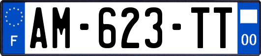 AM-623-TT