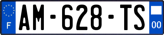 AM-628-TS