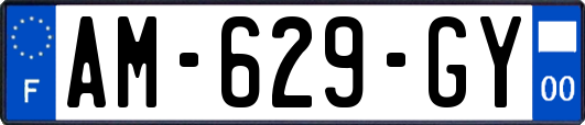 AM-629-GY