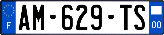 AM-629-TS