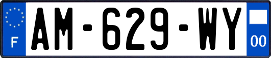 AM-629-WY