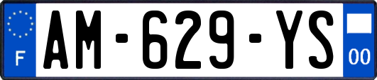 AM-629-YS