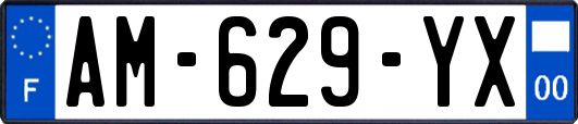 AM-629-YX