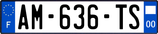 AM-636-TS