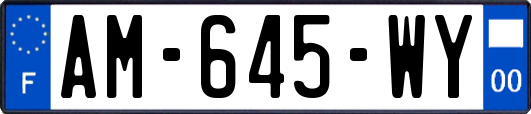 AM-645-WY