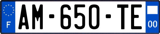 AM-650-TE