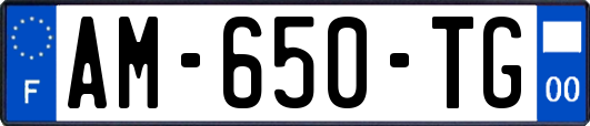 AM-650-TG