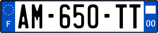 AM-650-TT
