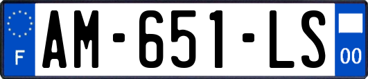 AM-651-LS