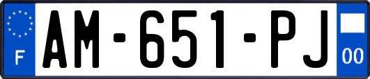 AM-651-PJ