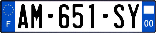 AM-651-SY