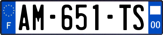 AM-651-TS