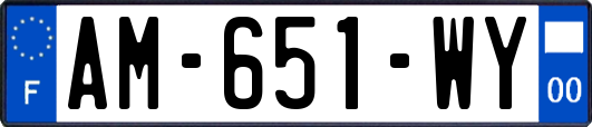 AM-651-WY