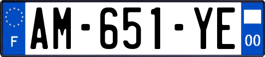 AM-651-YE
