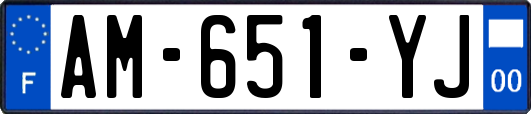 AM-651-YJ