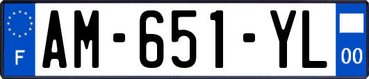 AM-651-YL