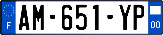 AM-651-YP