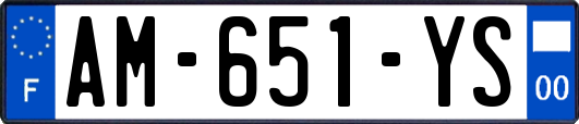 AM-651-YS