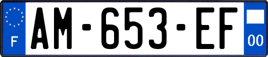 AM-653-EF