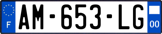 AM-653-LG