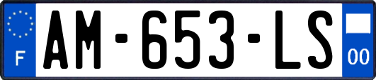 AM-653-LS