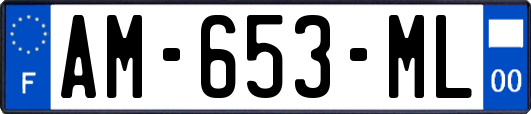 AM-653-ML