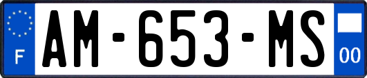 AM-653-MS
