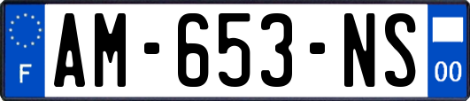 AM-653-NS