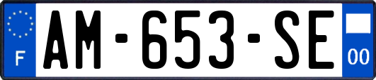 AM-653-SE