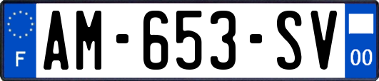 AM-653-SV