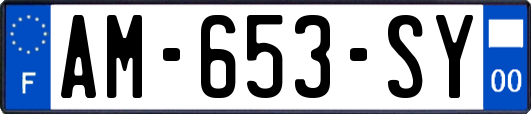 AM-653-SY
