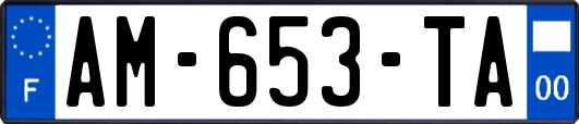 AM-653-TA