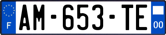 AM-653-TE