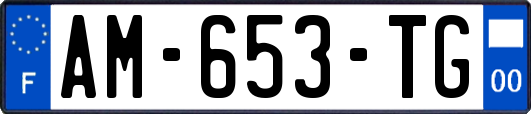 AM-653-TG