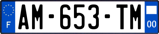 AM-653-TM