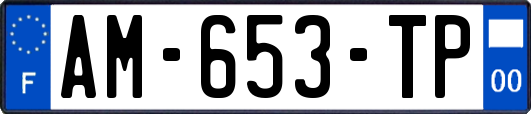 AM-653-TP
