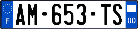 AM-653-TS