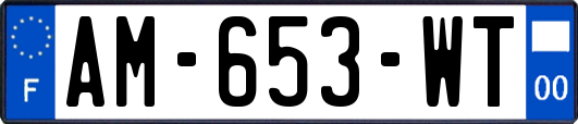 AM-653-WT