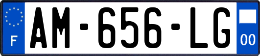 AM-656-LG