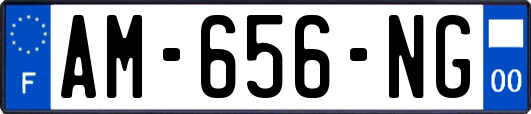 AM-656-NG