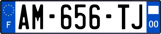 AM-656-TJ