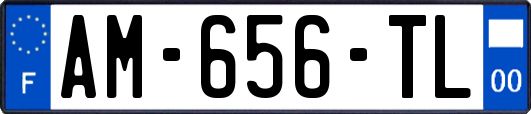 AM-656-TL