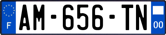 AM-656-TN