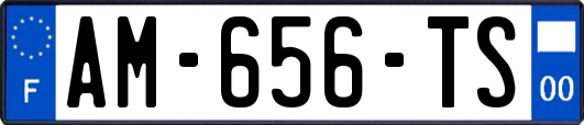 AM-656-TS