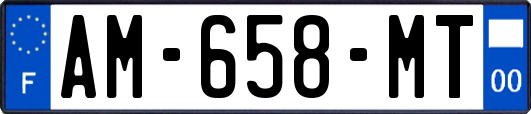 AM-658-MT