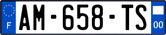 AM-658-TS