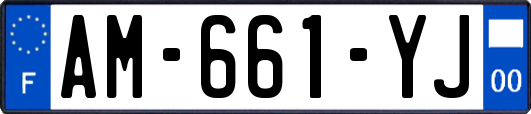 AM-661-YJ