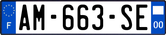 AM-663-SE