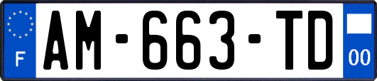 AM-663-TD